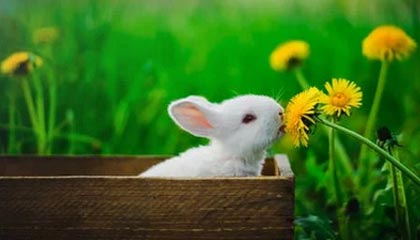 爱游戏体育-中国队成功晋级亚洲杯 再掀足球热潮，亚洲杯足球2021中国队