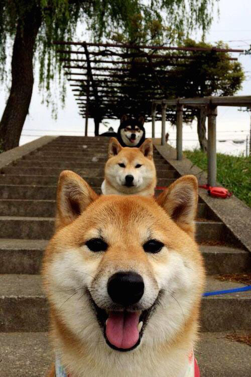 爱游戏-“青少年足球基层推广不断发力，基层青训蓬勃发展”