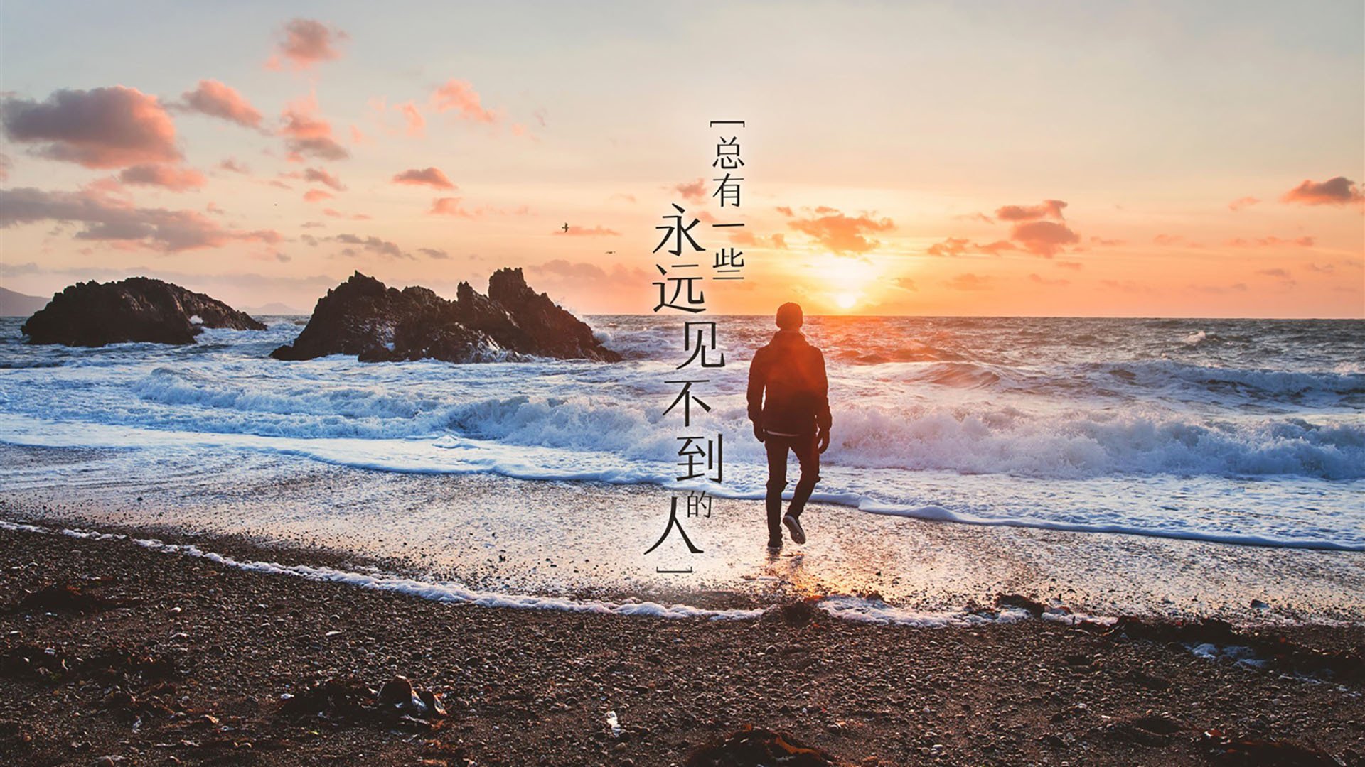 球员数据对比，评估转会价值，球员转会制度