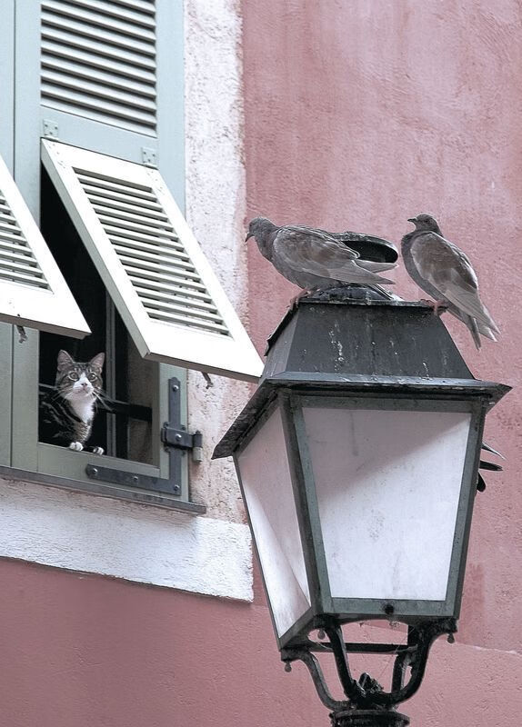 篮球场馆环境友好型设计获得推广,特色篮球场设计