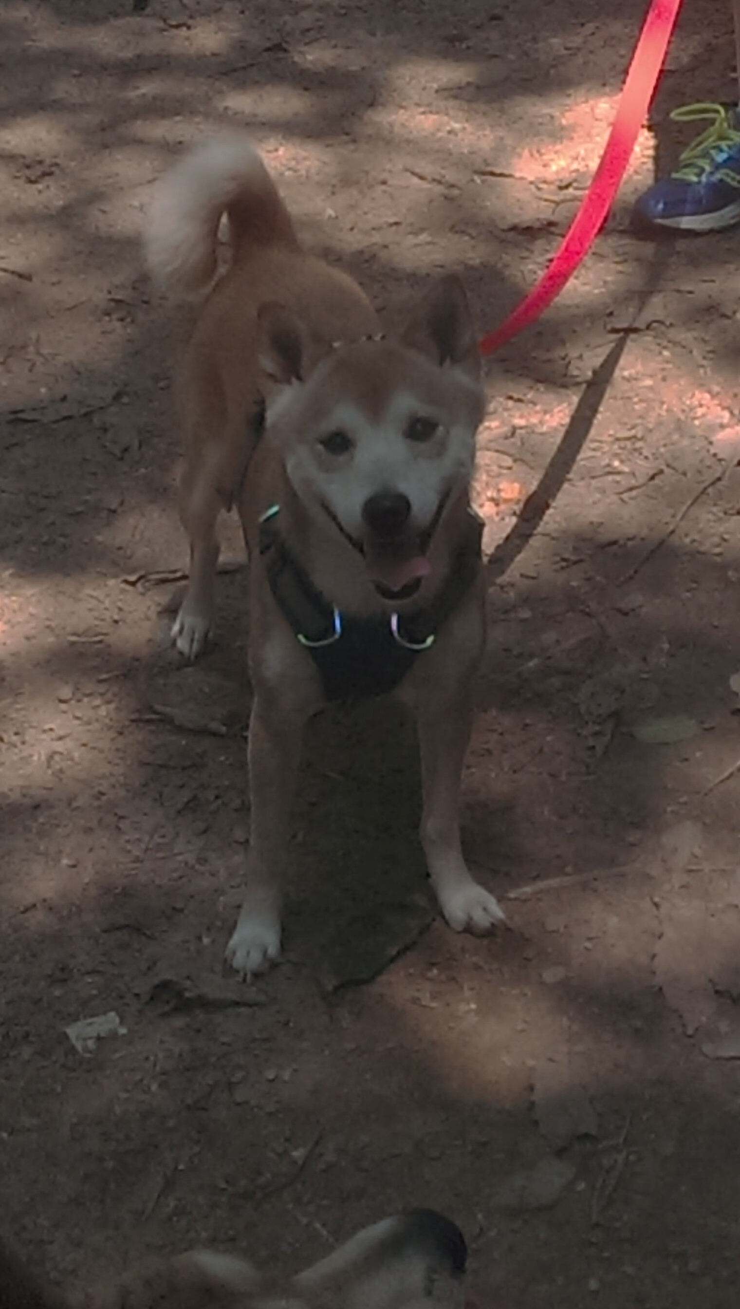 篮板争夺激烈:北京抢下48个篮板,攻守两端都占优!,北京篮球队比赛时间表