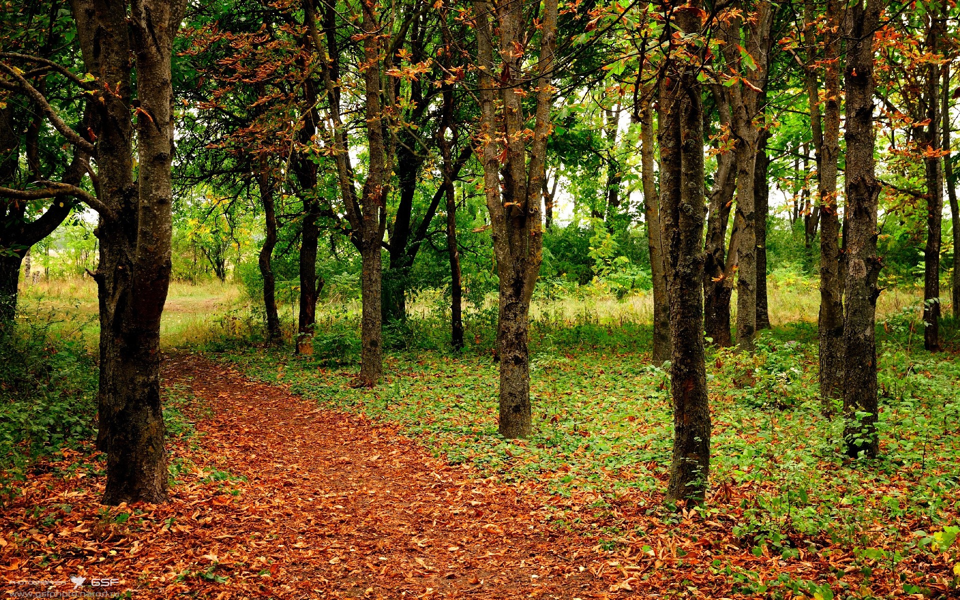 爱游戏体育app-匈牙利国家队实现欧洲杯正赛资格，豪取四连胜，匈牙利欧洲杯预选赛成绩