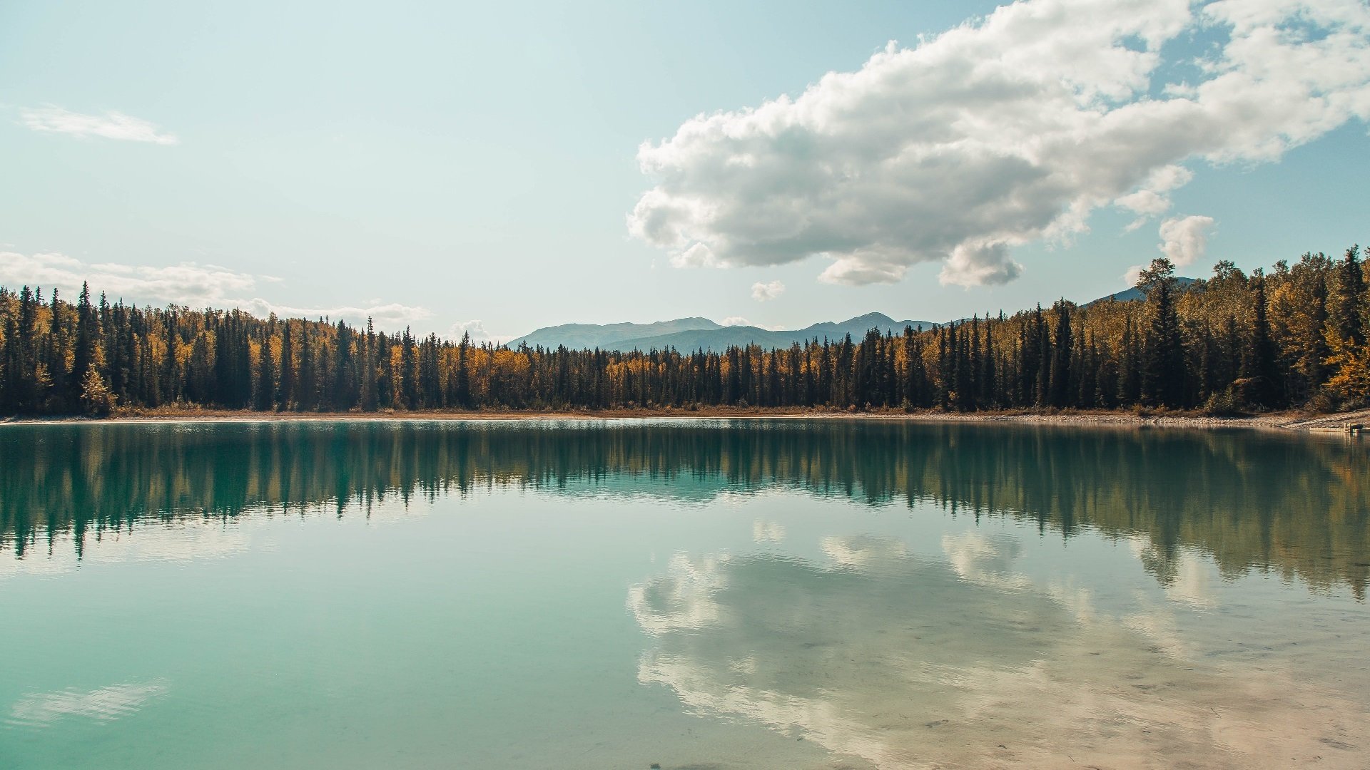 勇士大胜尼克斯,全明星赛前哨战中库里罚球绝杀,勇士险胜湖人 库里狂砍30分
