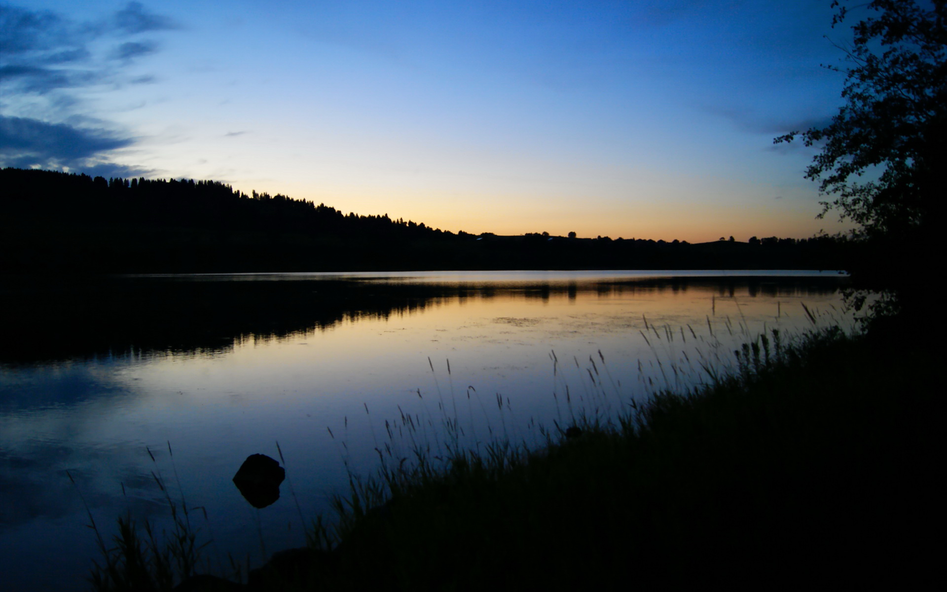 AYX官网-欧国联比赛：阿尔及利亚队连胜阿曼队，阿尔及利亚足球