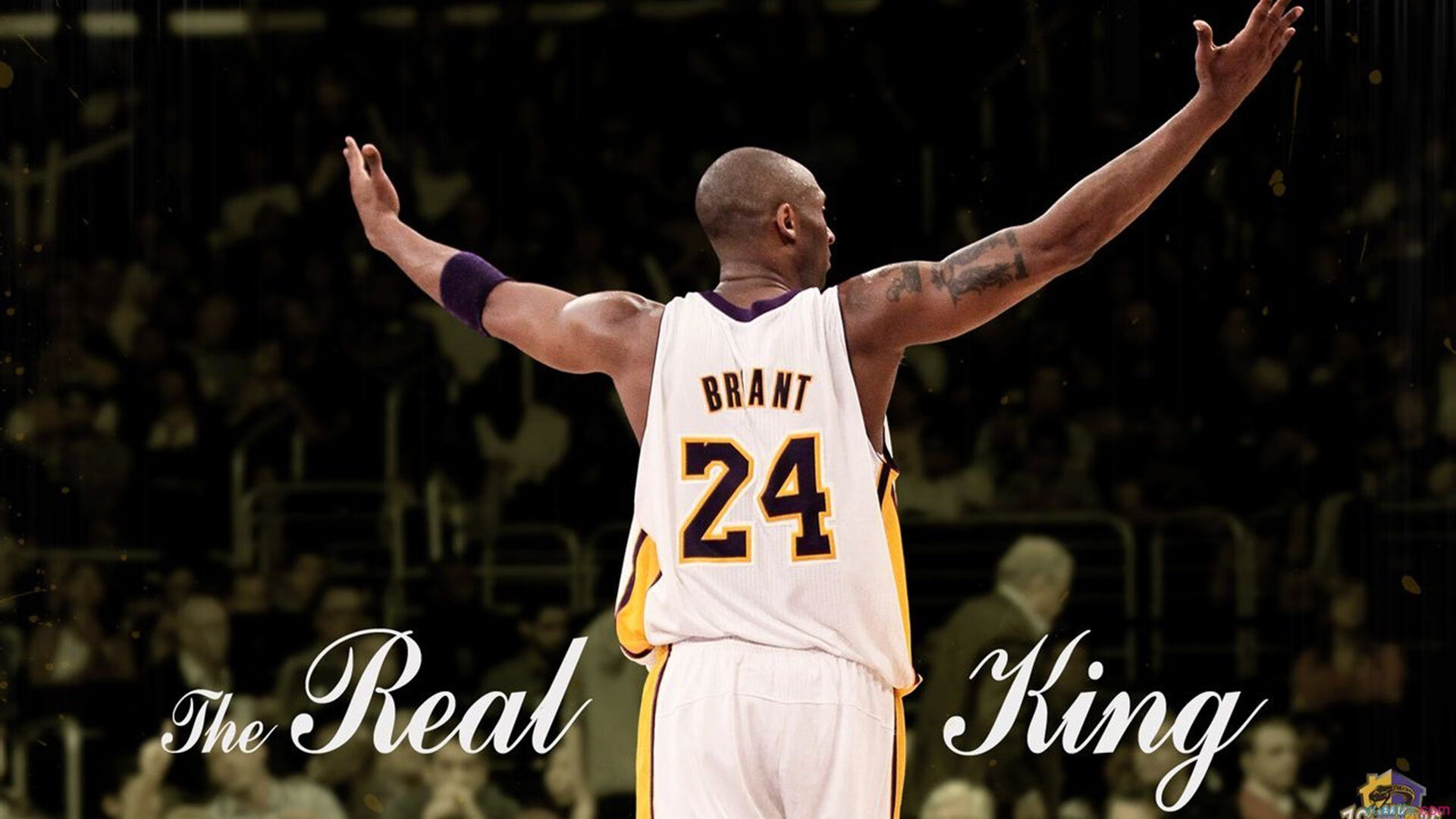 电竞战队品牌建设策略及粉丝文化培育的经验分享,电竞战队营销