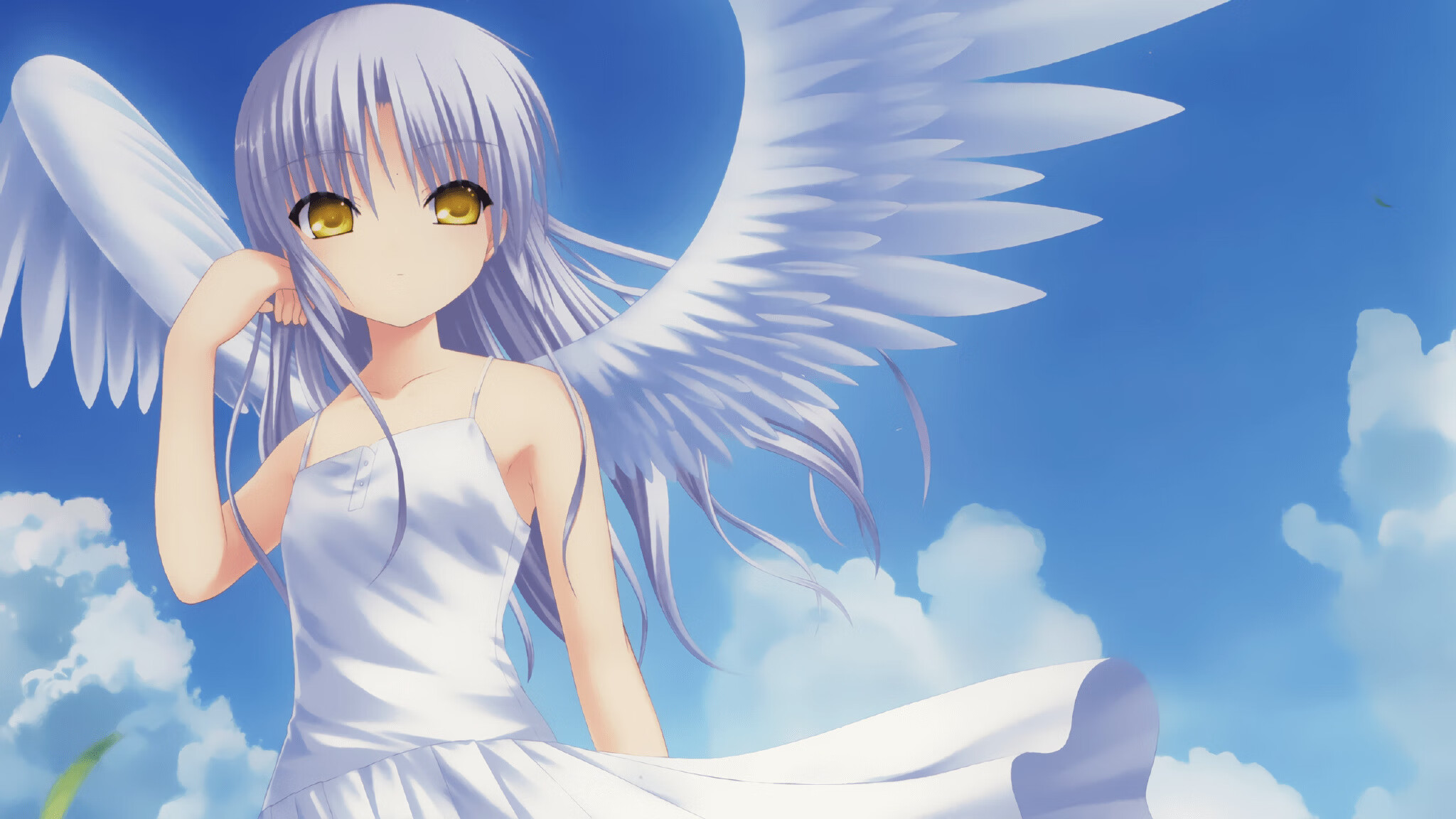 职业篮球运动员生活管理规范,职业篮球运动员的运动寿命