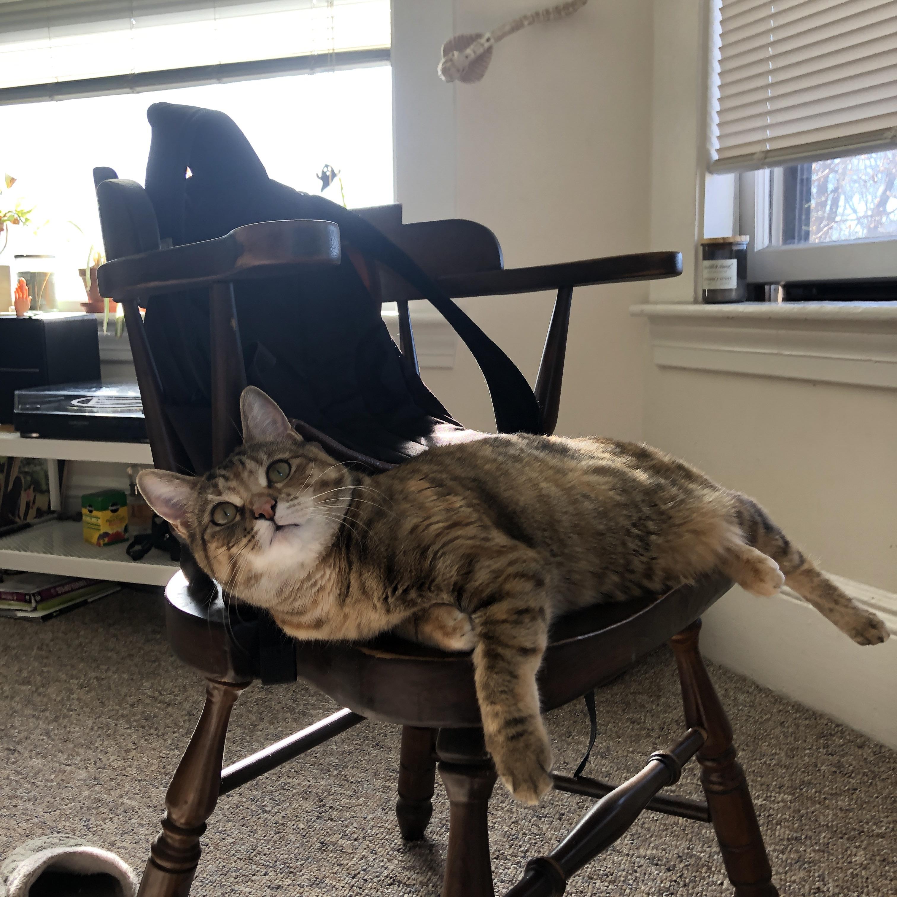 爱游戏官方-NBA球队数据驱动的战术分析与决策支持，nba数据效率值