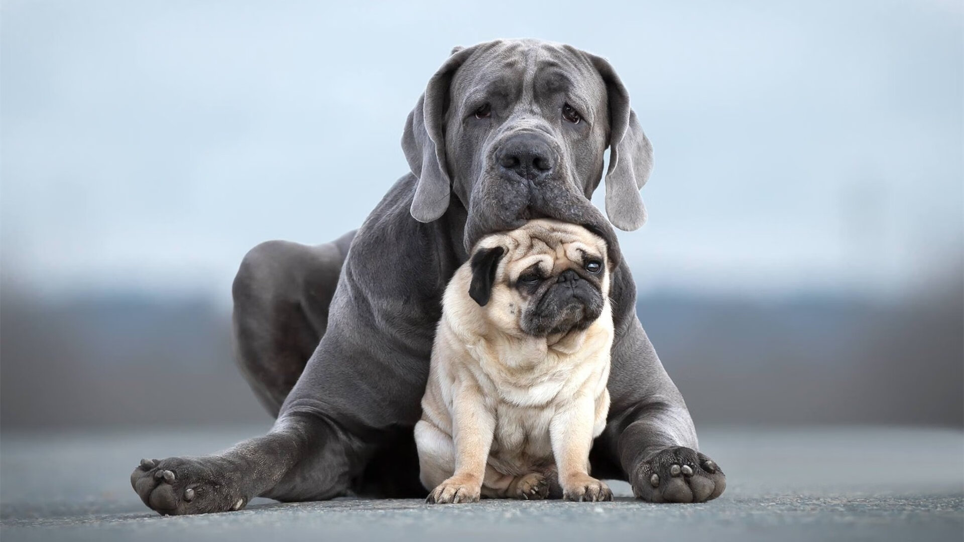 高技术装备:穿戴设备增强运动表现,穿戴设备对应的应用
