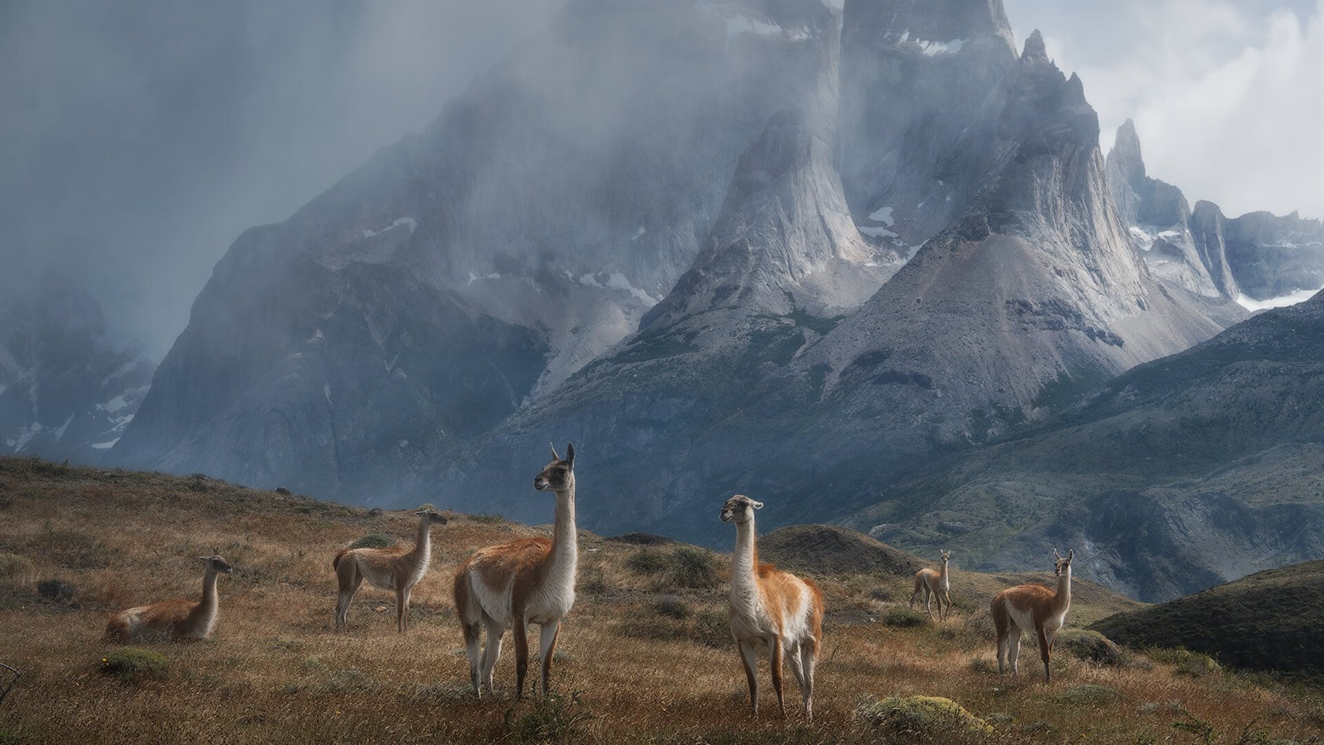 AIYOUXI.COM-新疆男篮积极备战强敌提升防守韧性，新疆男篮最新