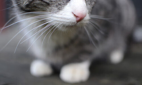 爱游戏官网-世界杯传奇夜：精彩瞬间永载史册！，世界杯百大传奇