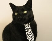 地方足球协会举办教练培训班提升执教水平,业余足球教练培训要求