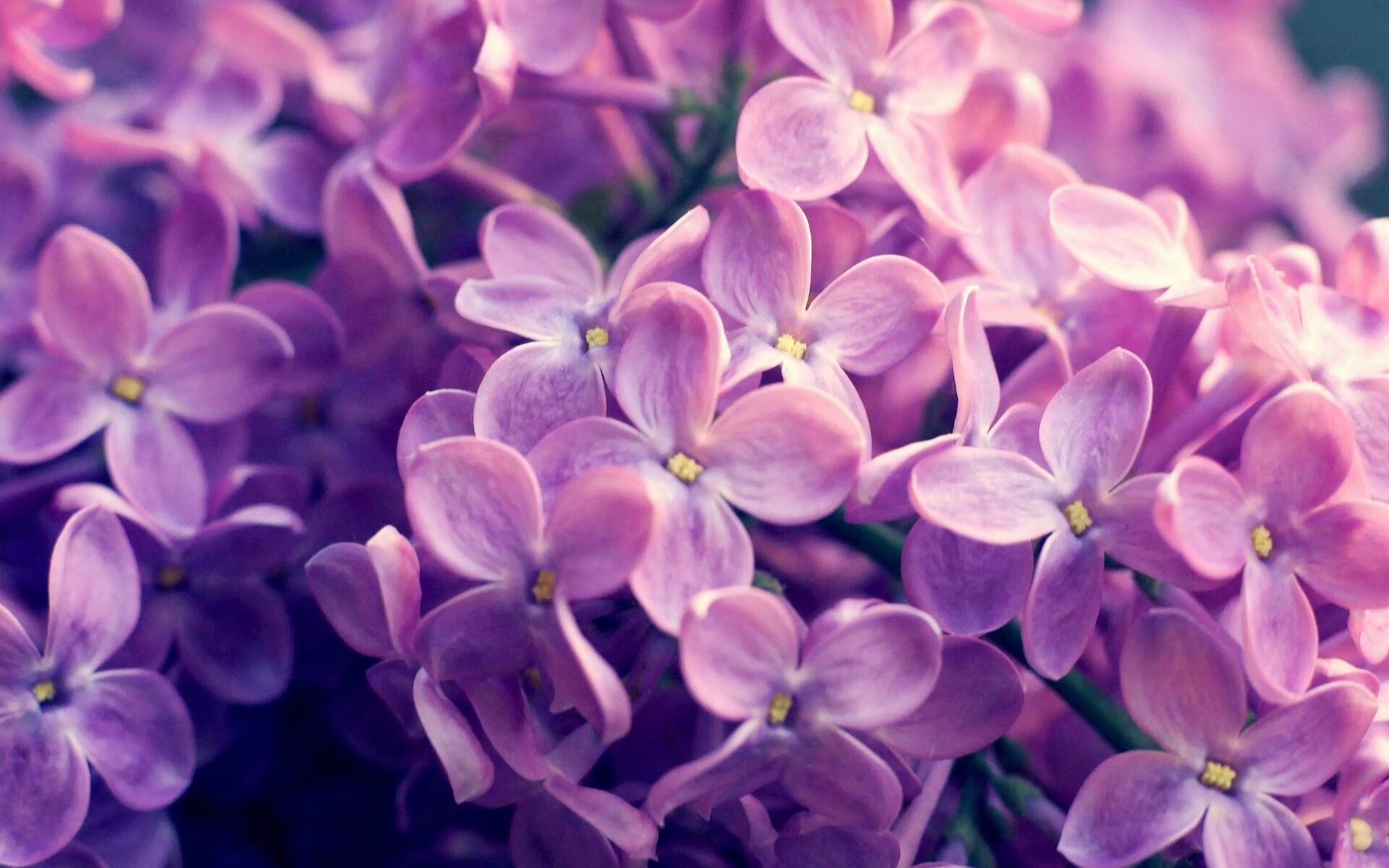 德甲精彩片段：力拼到底，场面火爆！