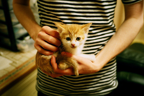 爱游戏官方网站-男子蝶泳选手冲击决赛席位，中国男子蝶泳名将